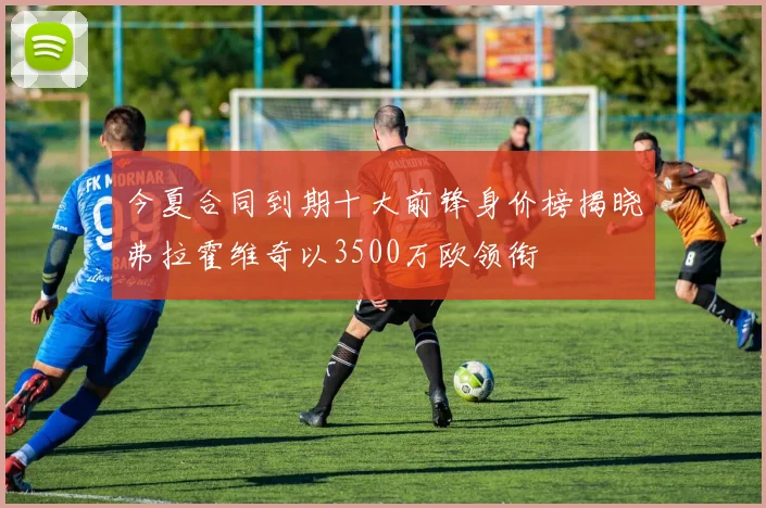今夏合同到期十大前锋身价榜揭晓弗拉霍维奇以3500万欧领衔